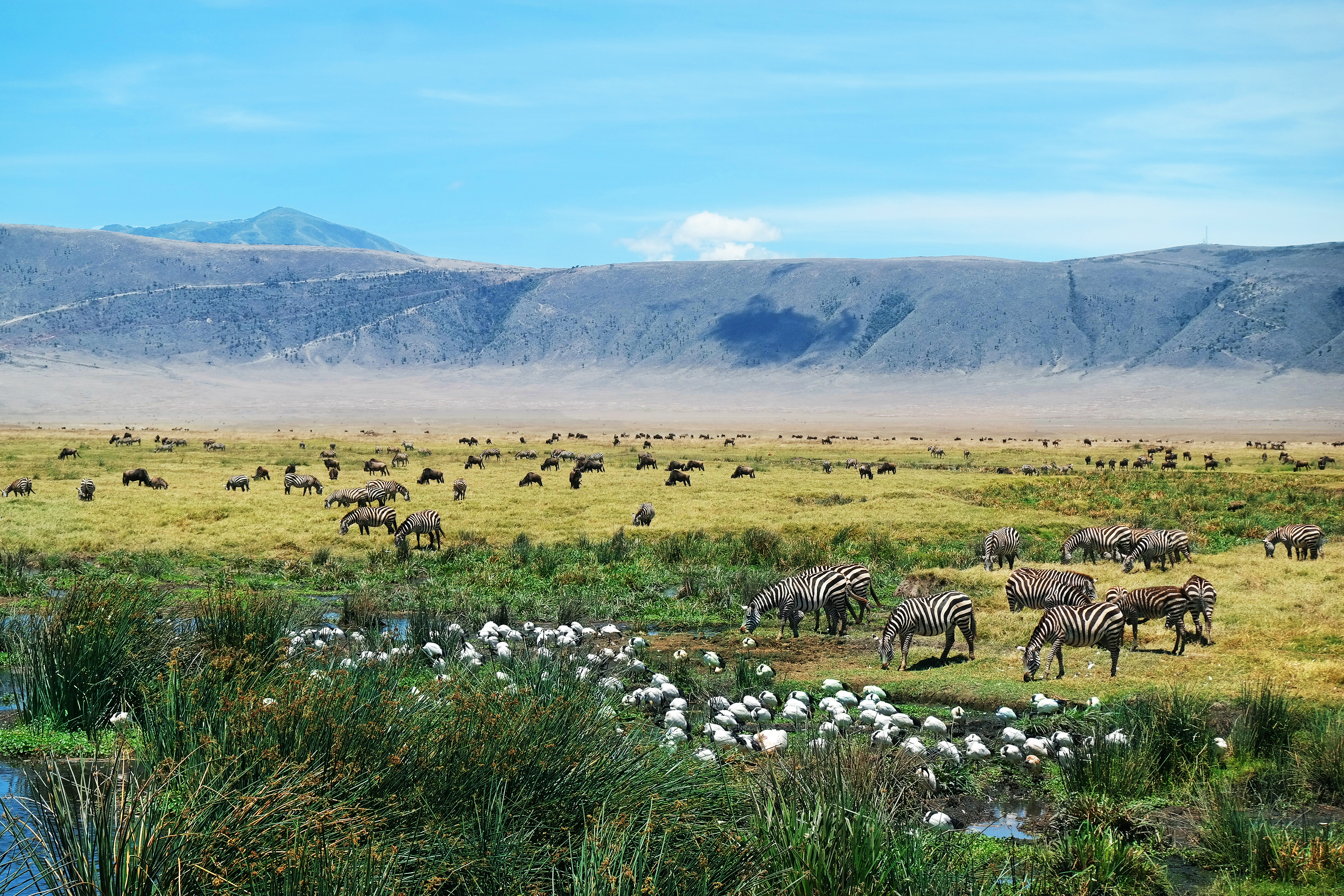 Tanzania Safari Ngorongoro crater